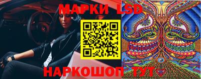 стаф Ставрополь