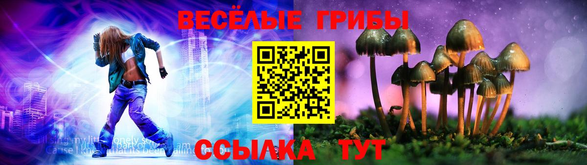 Псилоцибиновые грибы MAGIC MUSHROOMS  Вход с VPN  Псилоцибиновые грибы GOLDEN TEACHER  Новоуральск 