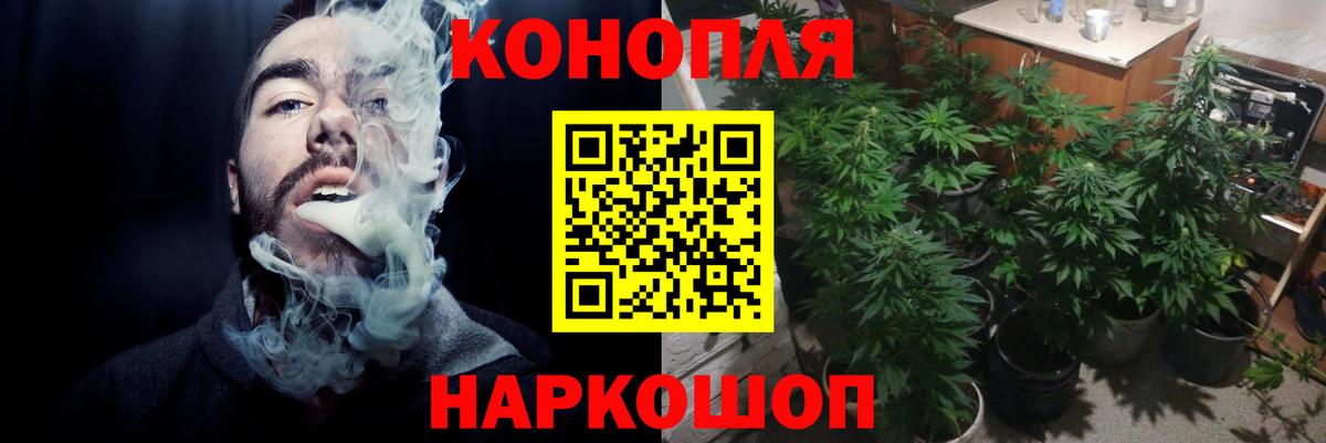 Бошки Шишки конопля  МАРИХУАНА конопля  Новоуральск  Вход с VPN 
